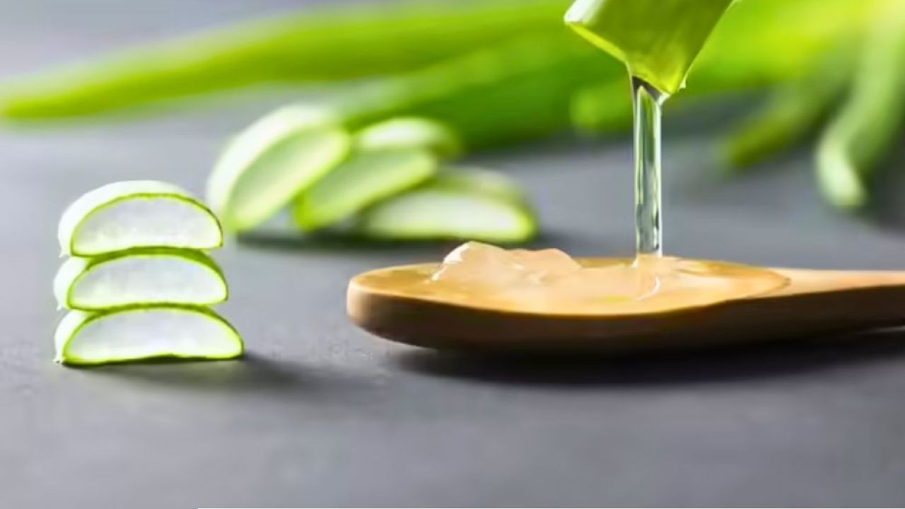 অ্যালোভেরার পাতা কেটে সরাসরি মুখে মাখলে কী হবে
