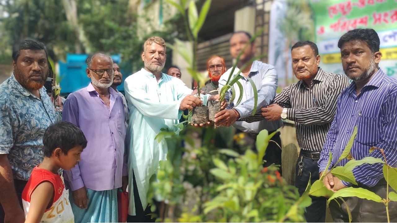 গ্রীন চট্টগ্রাম এ্যালায়েন্সের আয়োজনে মীরসরাই পৌরসভায় বৃক্ষ রোপণ ও চারা বিতরণ