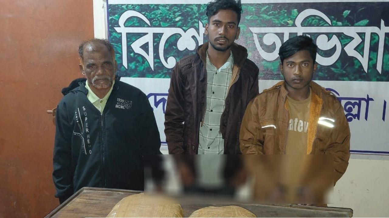 দেবীদ্বারে ৩ কেজি গাঁজা উদ্ধার : আটক ৩ জন