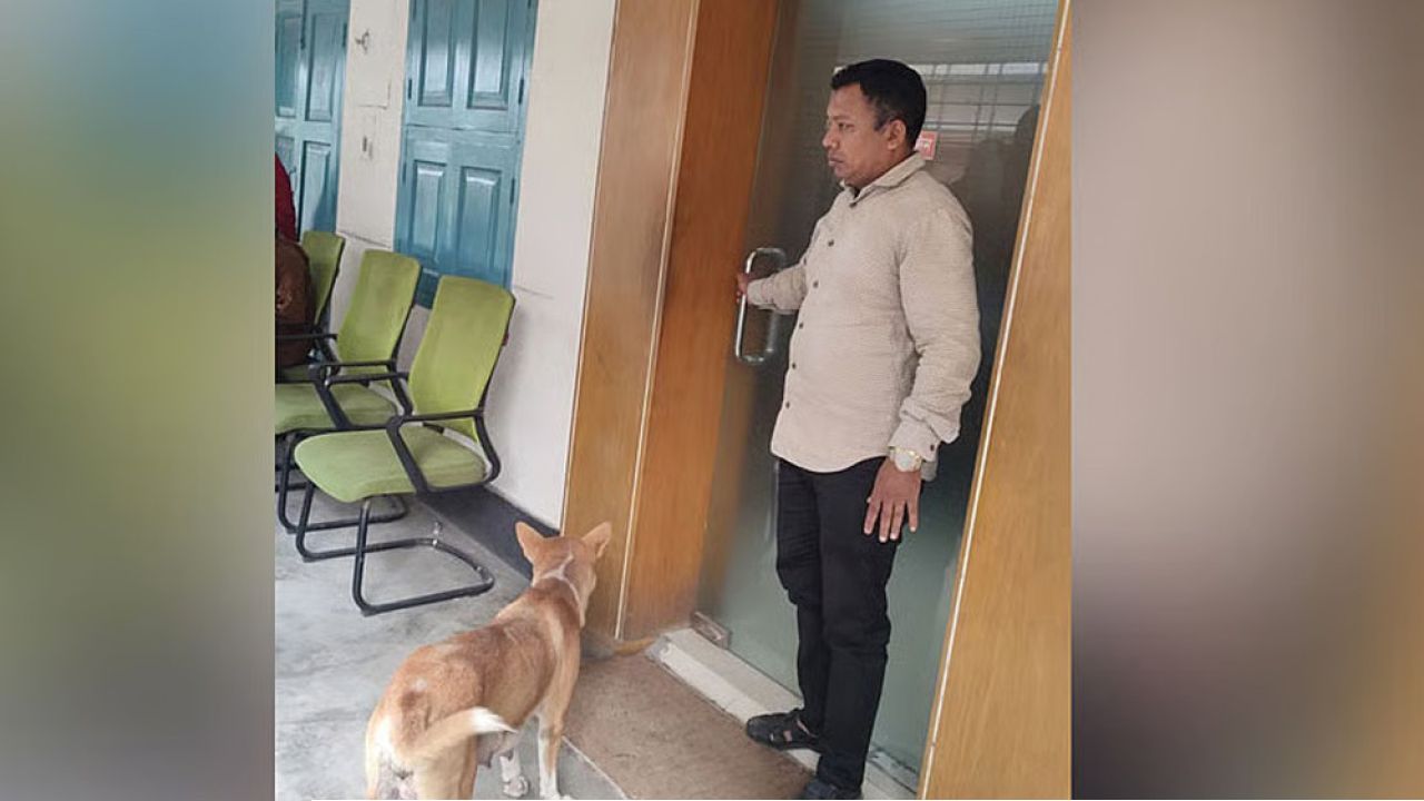 কুকুর ছানাকে হত্যা, কর্মকর্তাকে সরকারি বাসভবন ছাড়ার নির্দেশ