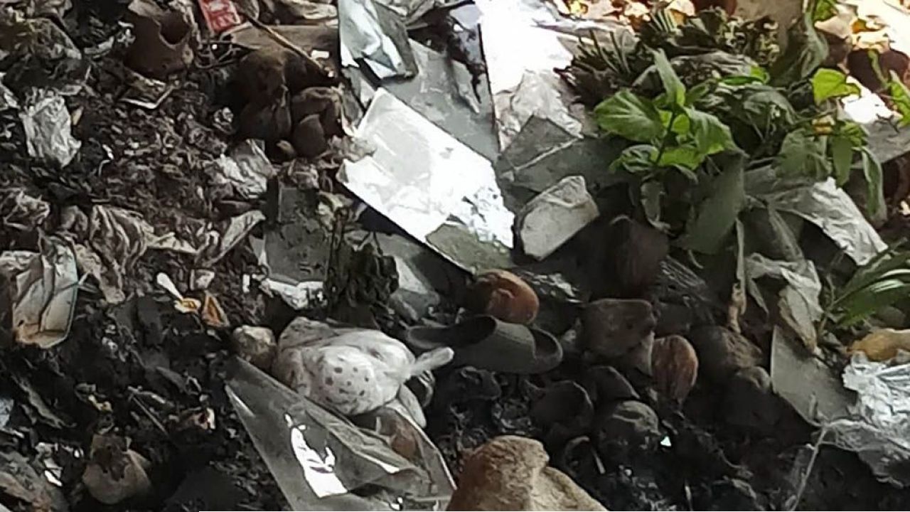 ব্রিজের নিচে মিলল অজ্ঞাত ব্যক্তির মরদেহ