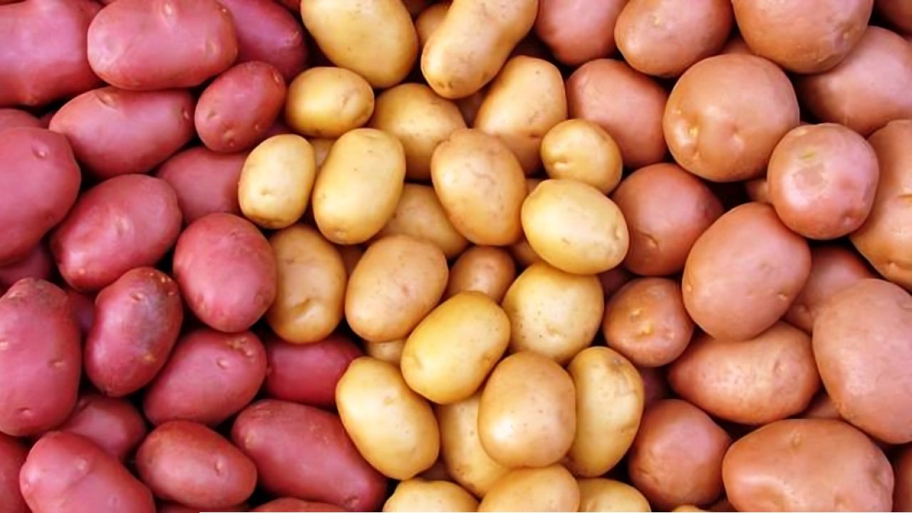 যে কারণে আলু খাবেন