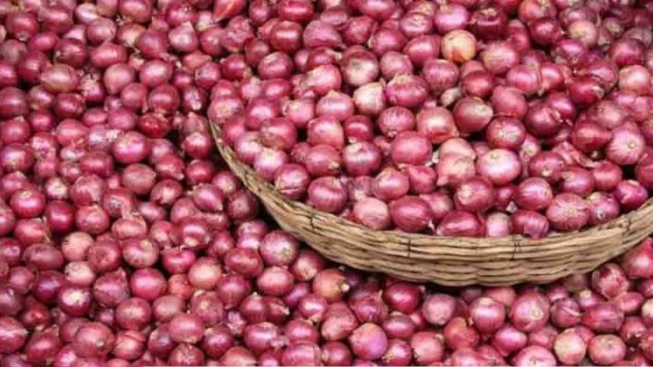 হিলি স্থলবন্দর দিয়ে আমদানি ৯০ টন পেঁয়াজ