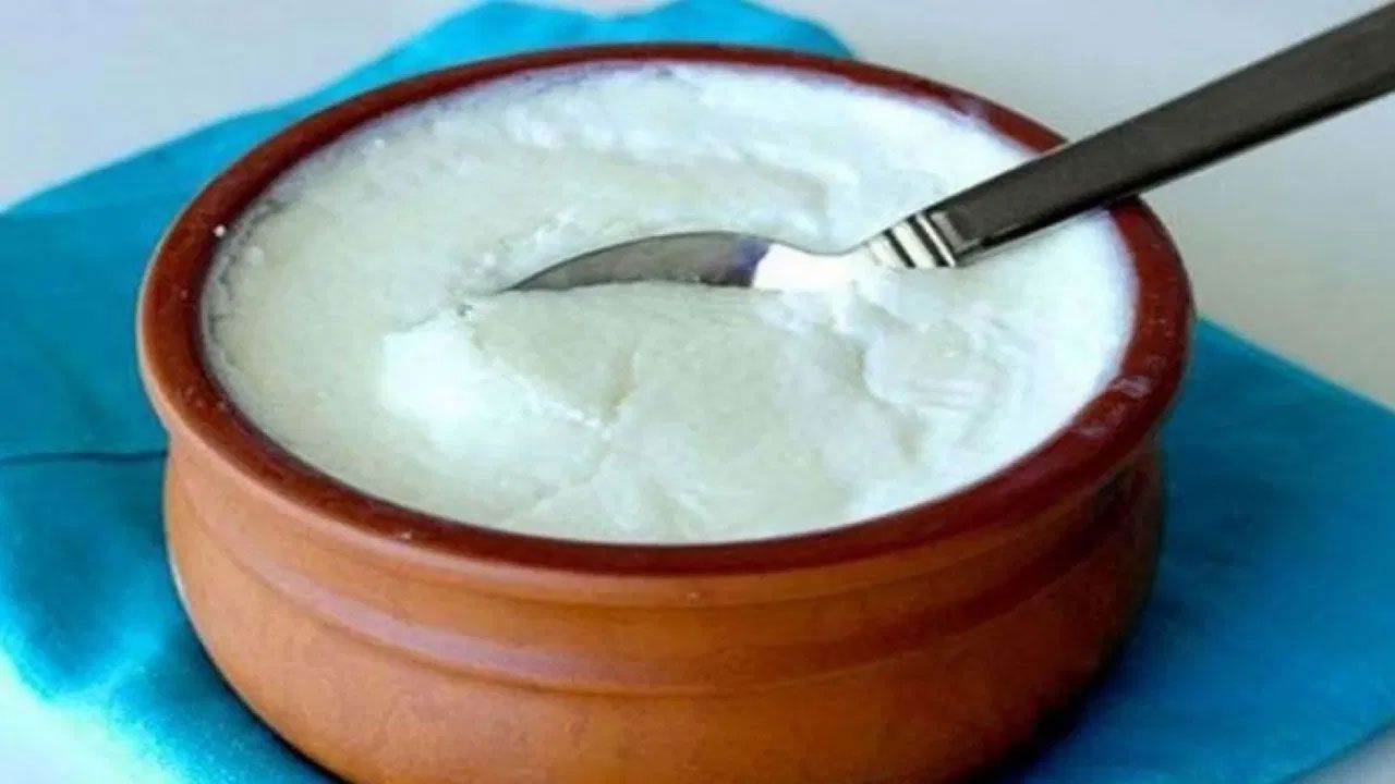  শীতে প্রতিদিন টক দই খাওয়ার উপকারিতাগুলো জেনে নিন