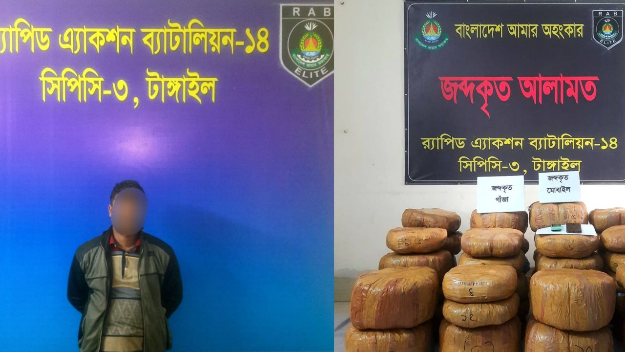 টাঙ্গাইলে র‍্যাবের অভিযানে ১২৭ কেজি ২০০ গ্রাম গাঁজাসহ এক মাদক কারবারী গ্রেফতার