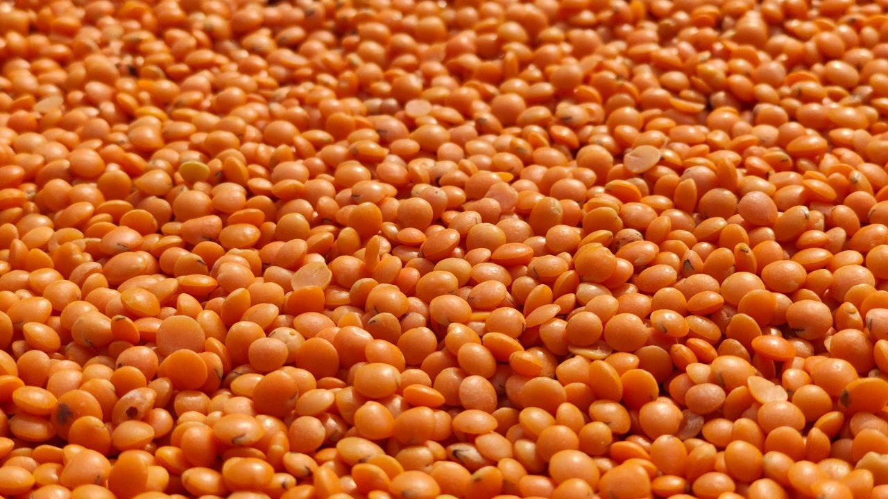 ১০ হাজার টন মসুর ডাল কেনার অনুমোদন দিয়েছে সরকার