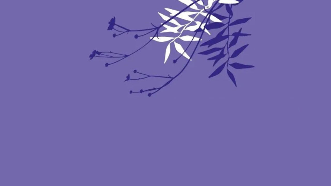 আমার অভিধানের শব্দরা