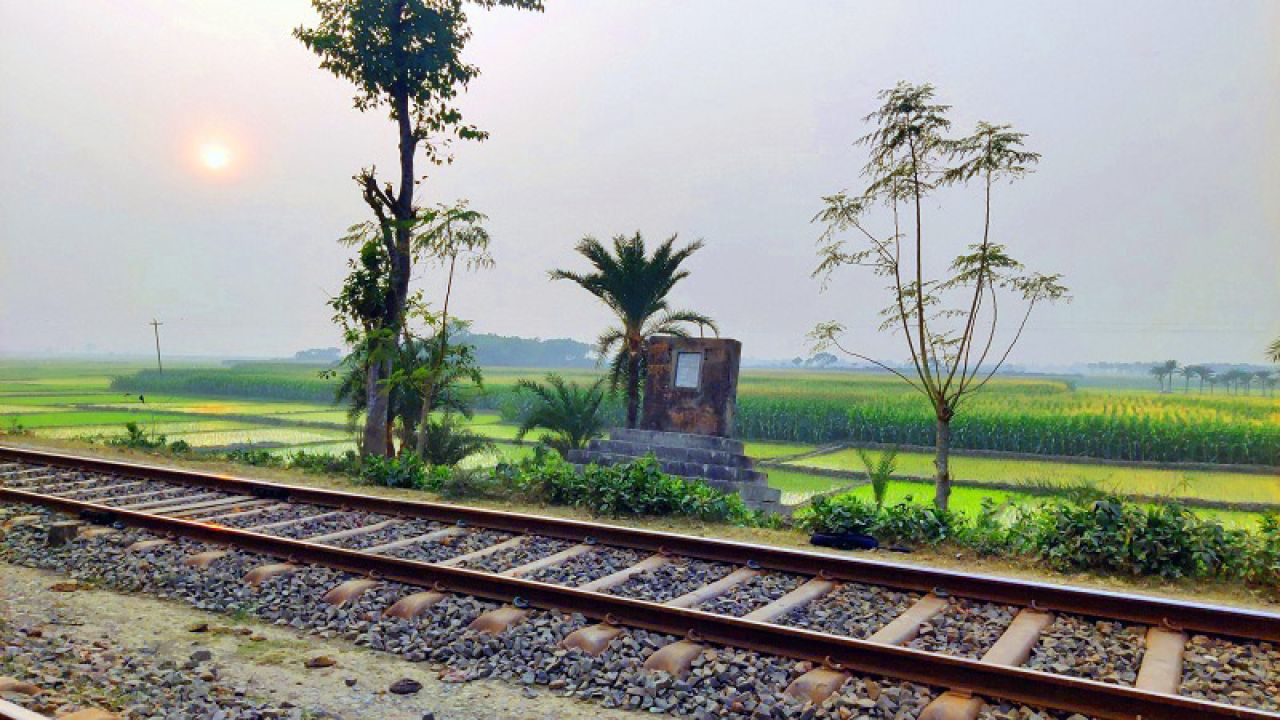 রোদ চরাচরের একলা ঘুঘু