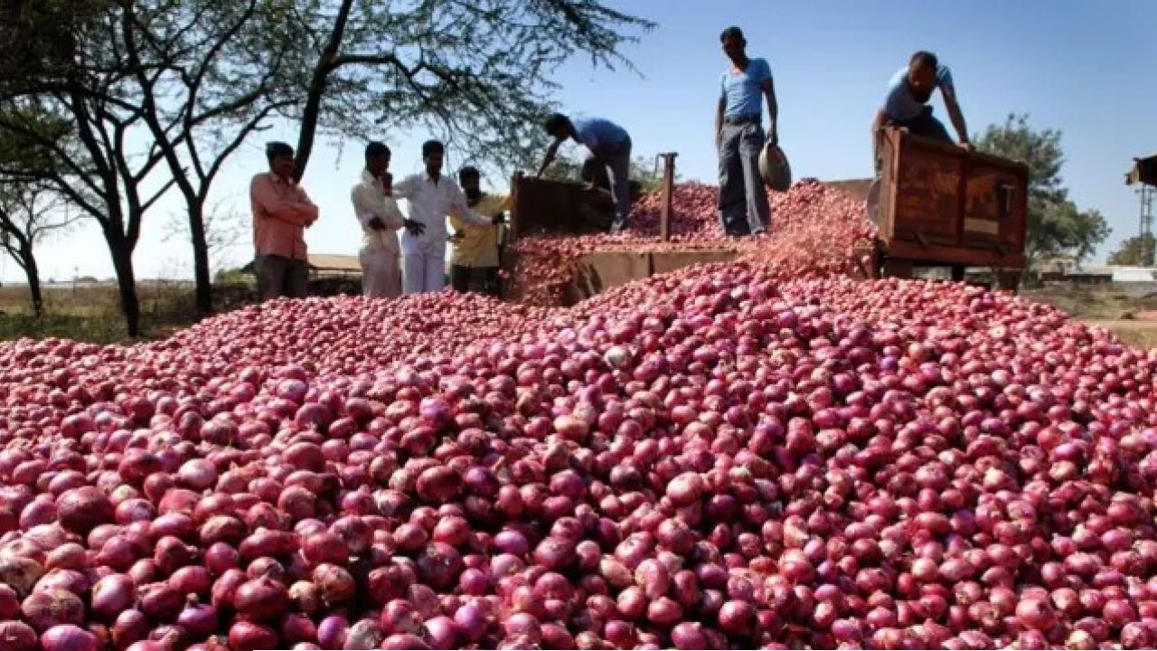 দাম কমেছে পেঁয়াজের বাজারে স্বস্তির হাওয়া