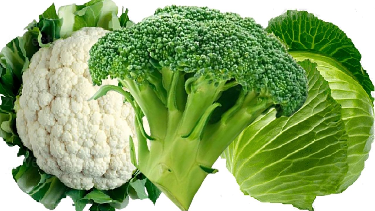 ভুলেও যারা ফুলকপি, বাঁধাকপি ও ব্রকলি খাবেন না জানুন