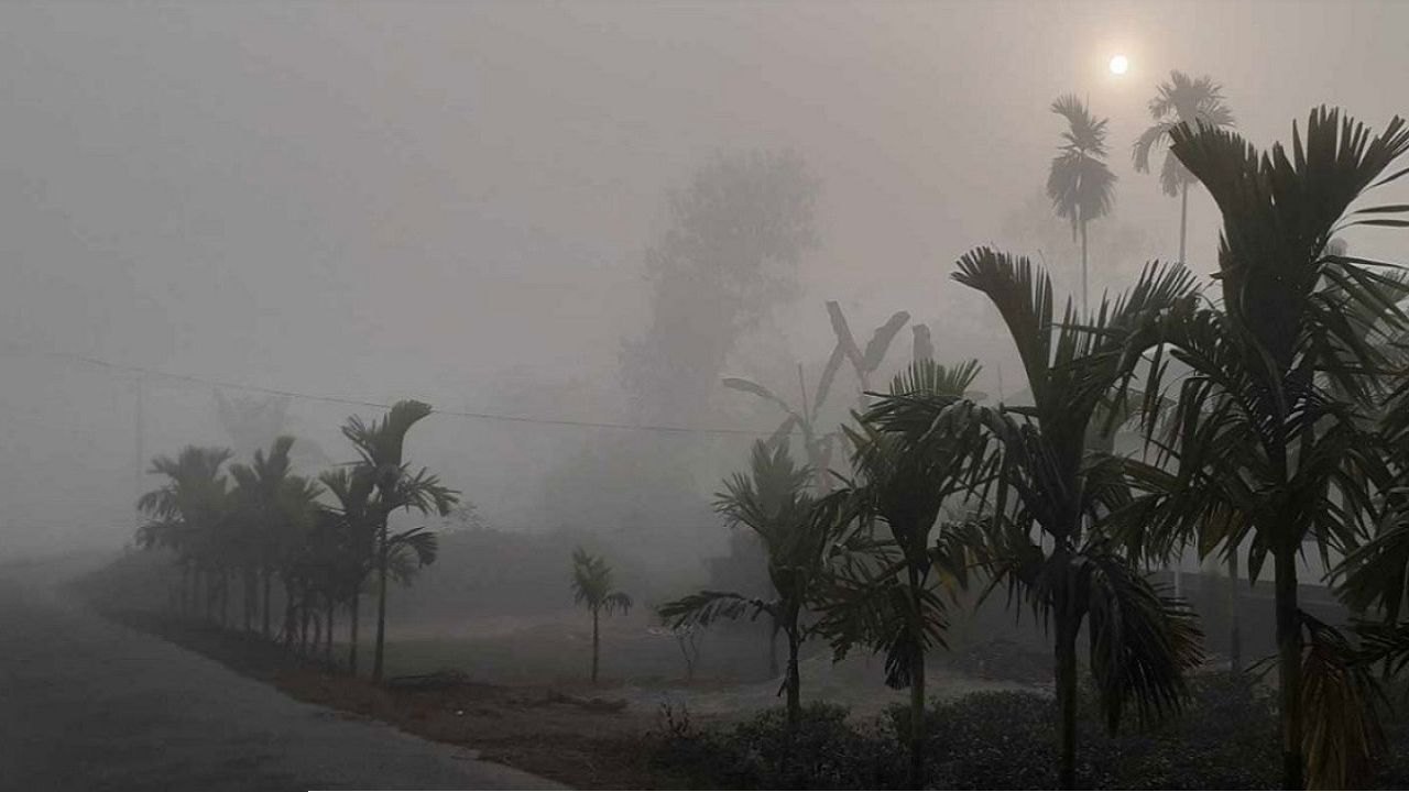 তীব্র শীতের মাঝেই কুয়াশা-বৃষ্টি নিয়ে যা জানালো আবহাওয়া অধিদপ্তর