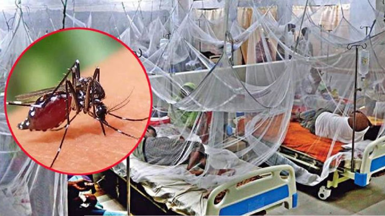 ‎‎‎সারাদেশে ২৪ ঘণ্টায় ডেঙ্গু আক্রান্ত ৩৭৭ জন হাসপাতালে ভর্তি