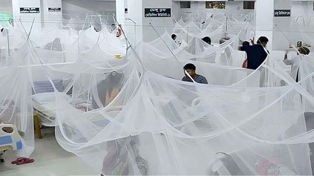 ২৪ ঘণ্টায় সারাদেশে ডেঙ্গুতে হাসপাতালে ভর্তি ৫৫