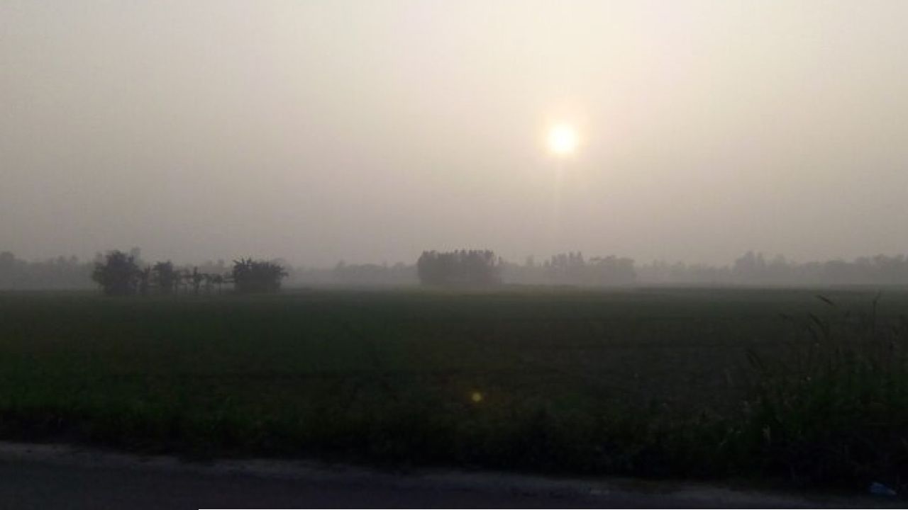 সূর্যের দেখা মিলবে, কমবে তীব্র শীতের অনুভূতি: আবহাওয়া অধিদপ্তর