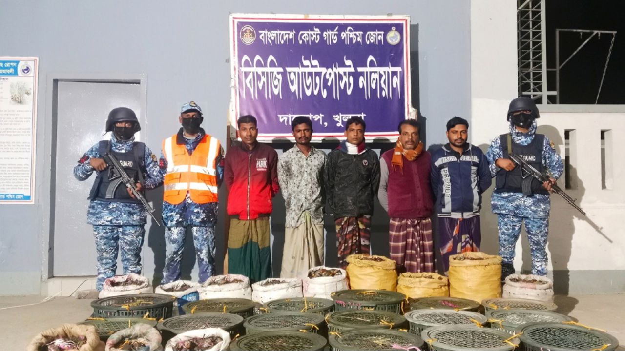 সুন্দরবন থেকে ৪৯০ কেজি কাঁকড়া উদ্ধার, আটক ৫ জন কাঁকড়া ব্যবসায়ী