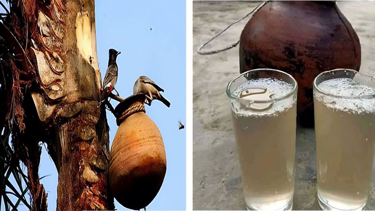 যে কারনে খেজুর রস খেতে সাবধান