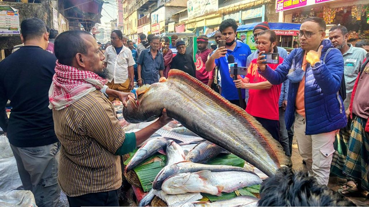  ঐতিহ্যবাহী মাছের মেলা: নজর কাড়ছে ৪০ কেজির কাতলা ও বোয়াল