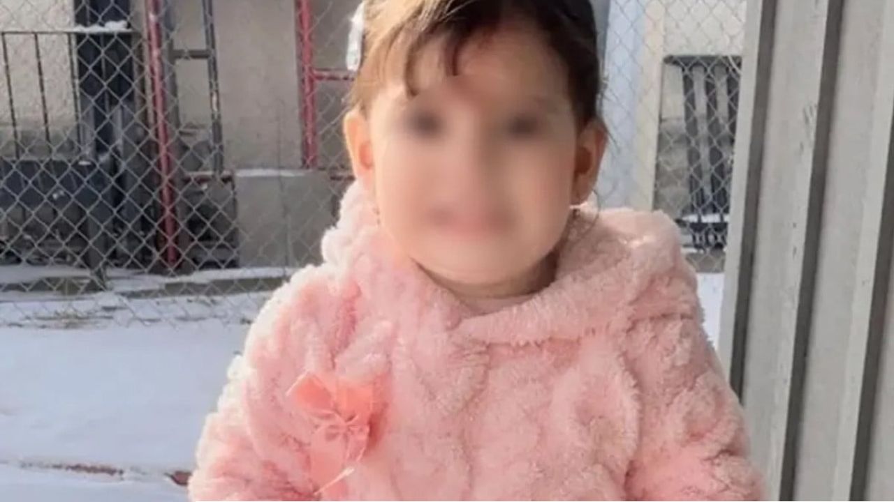 ২ বছরের শিশুকেও ছাড় দিল না মার্কিন অভিবাসন পুলিশ