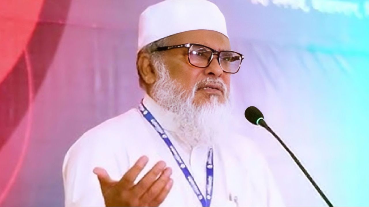 ‘গণভোটে ‘হ্যাঁ’ জয়ী হলে দেশে স্বৈরসরকারের আগমন ঘটবে না’