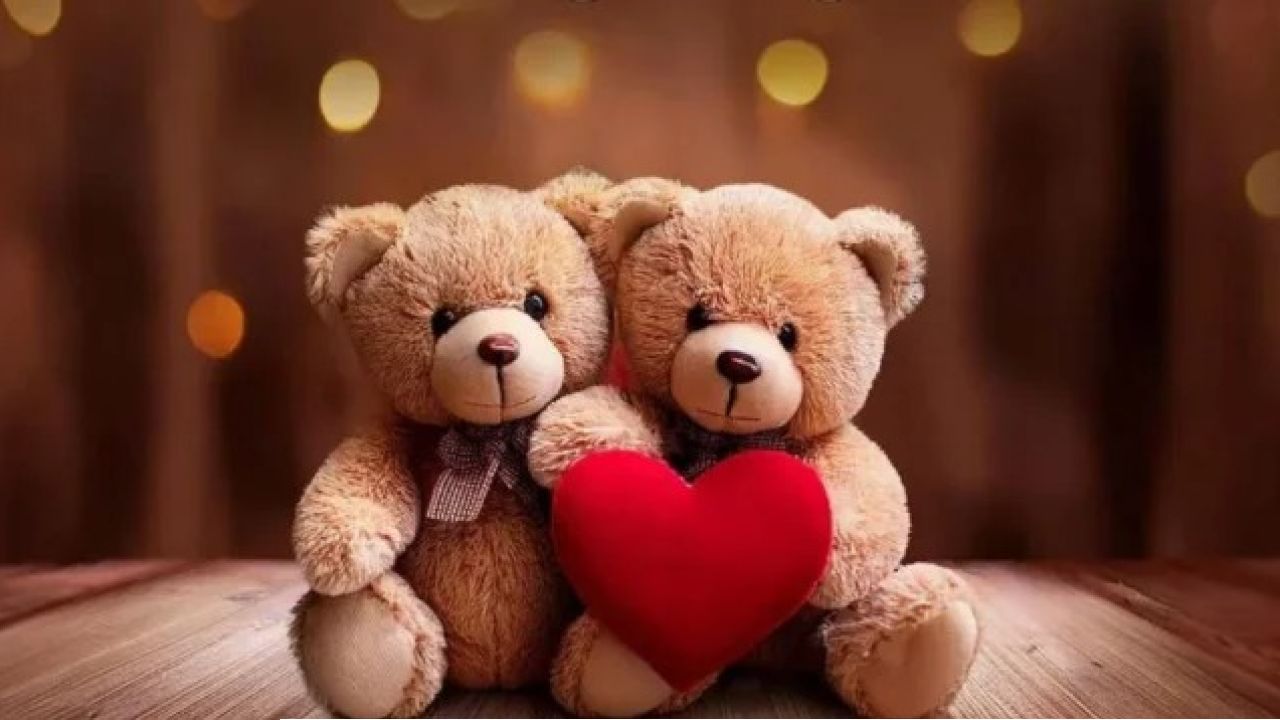 প্রিয়জনকে টেডি উপহার দেওয়ার বিশেষ দিন আজ