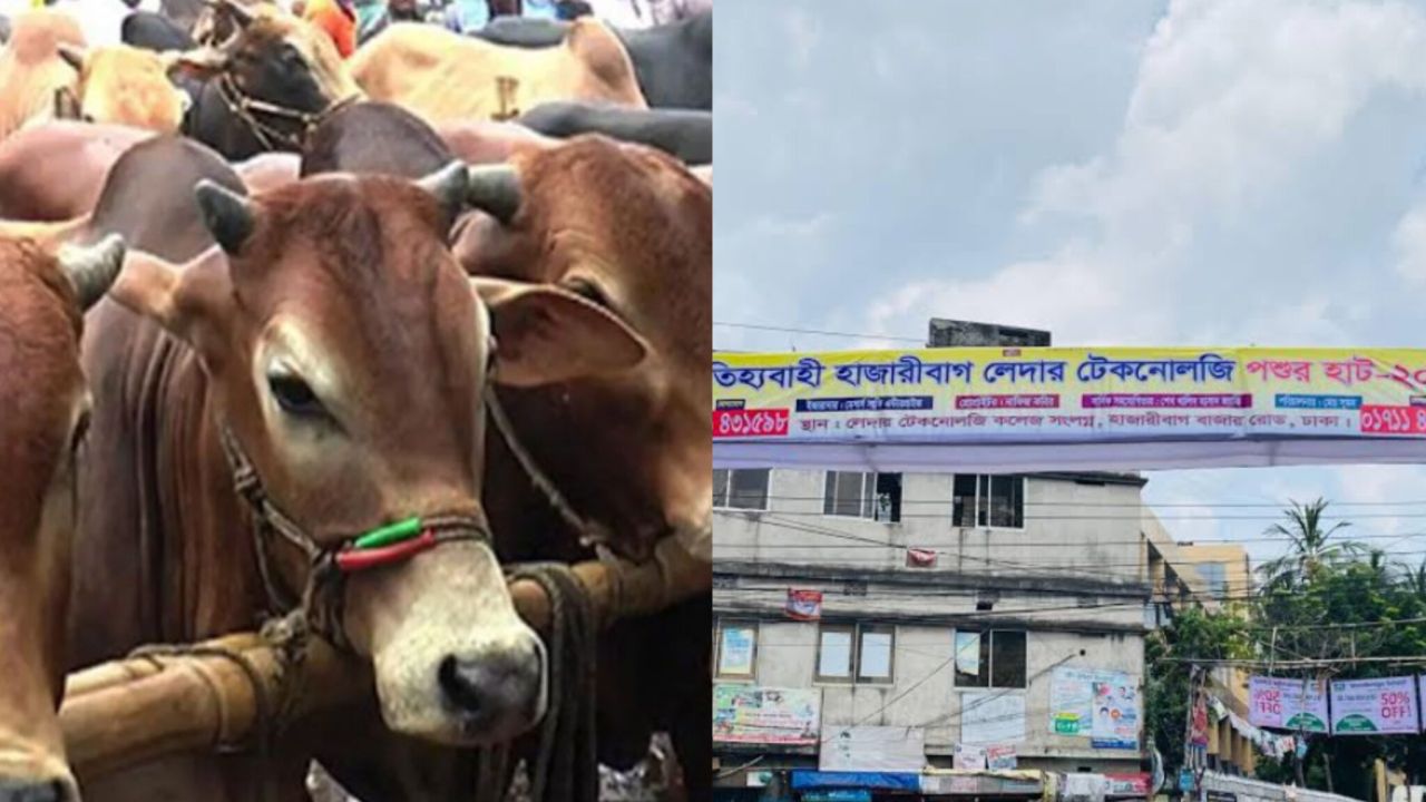 হাজারীবাগ কুরবানির পশুর হাটের স্থান পরিবর্তন