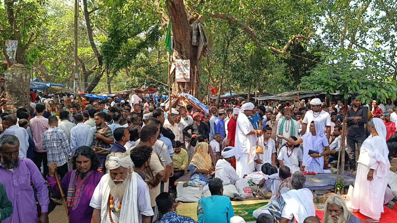 সাধু-সন্ন্যাসী ও বাউলদের পদচারণায় মুখর মহাস্থানগড়