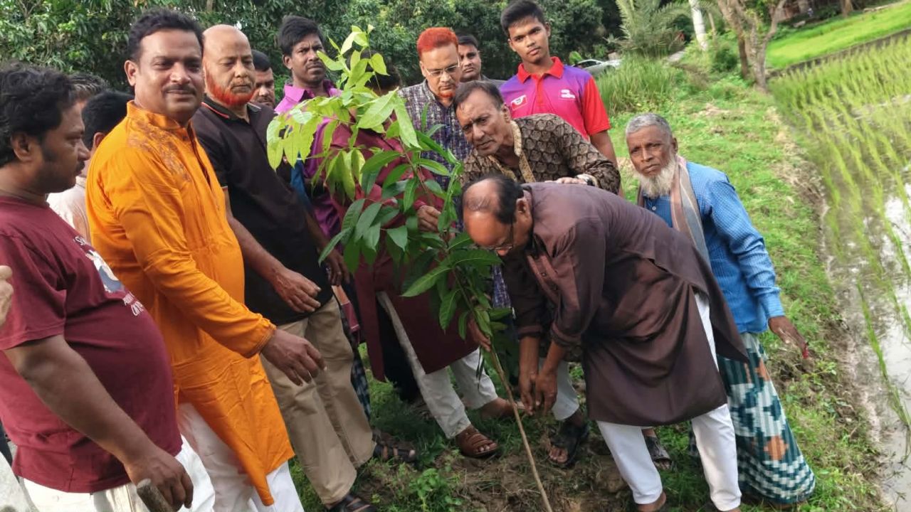 চাঁপাইনবাবগঞ্জে জেলা বিএনপি'র মাসব্যাপী বৃক্ষরোপণ কর্মসূচির উদ্বোধন