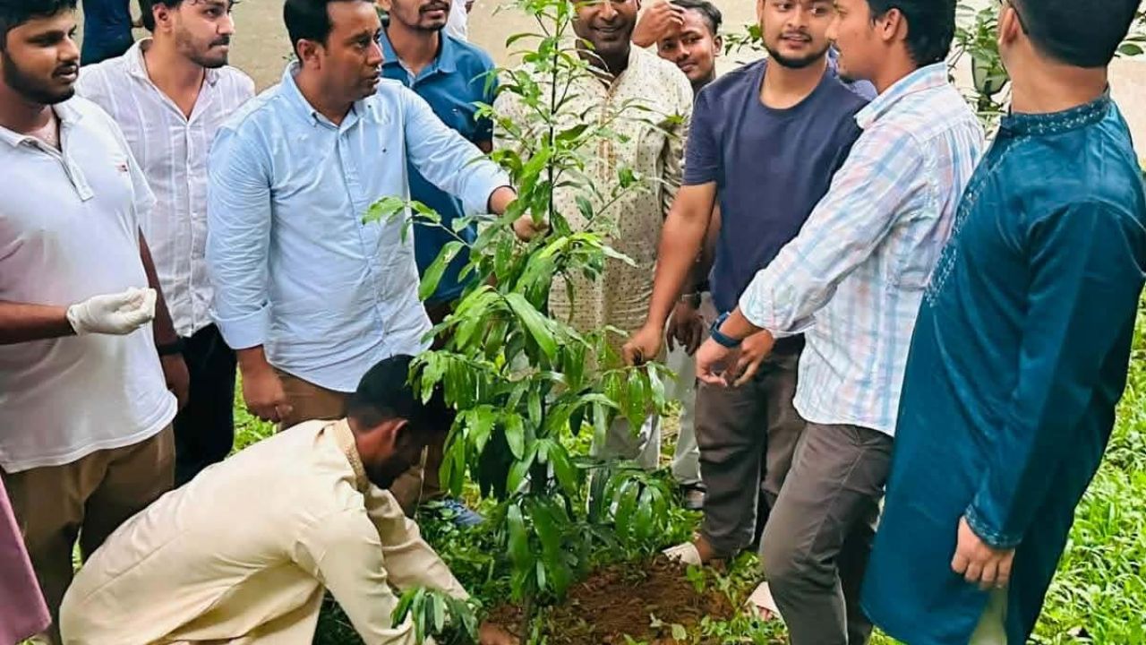 জুলাই গণঅভ্যুত্থান দিবসে কুবি ছাত্রদলের পরিচ্ছন্নতা ও বৃক্ষরোপণ কর্মসূচি