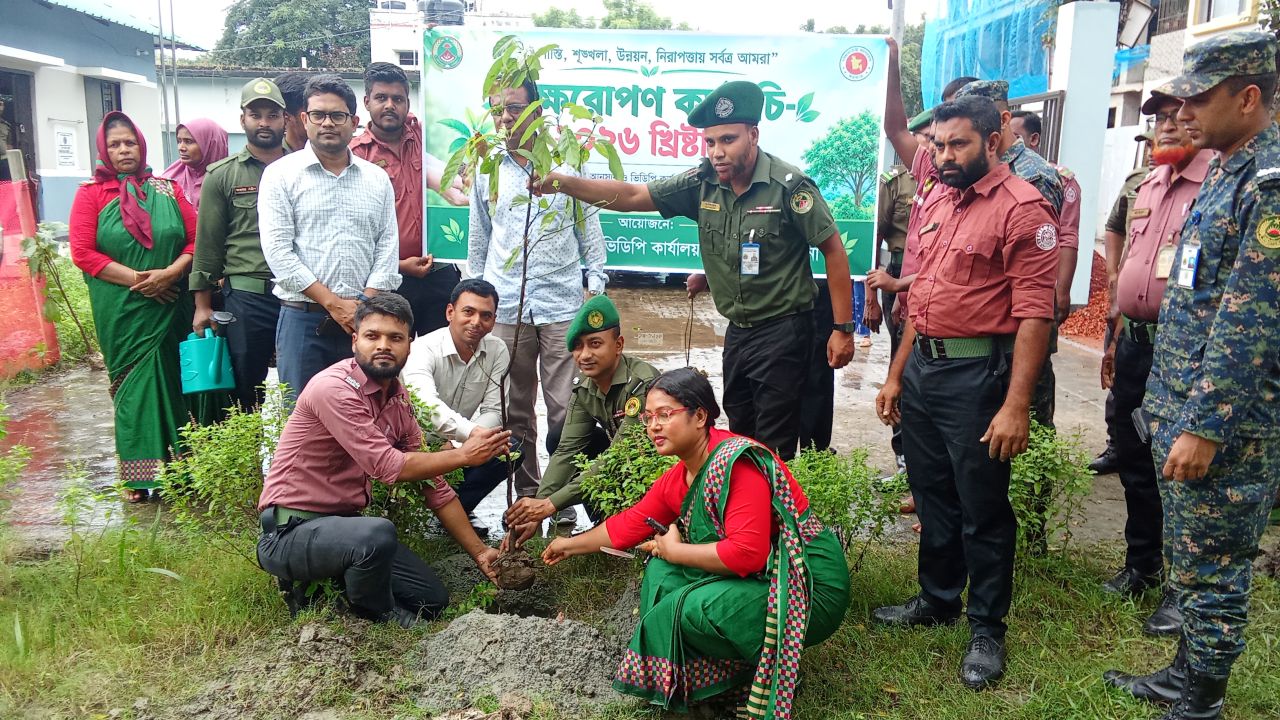 সম্মানী ভাতাভোগী ও সঞ্জীবন প্রকল্পের সদস্য-সদস্যাদের মাঝে ফলজ ও ঔষধি গাছের চাঁরা বিতরণ