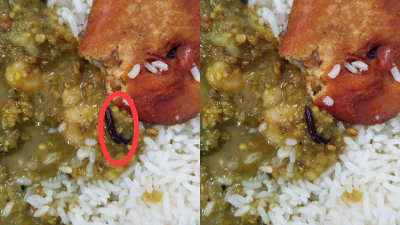 পাবিপ্রবির সেন্ট্রাল ক্যাফেটারিয়ার খাবারে কেড়া পোকা মেলায় ক্ষুদ্ধ শিক্ষার্থীরা 